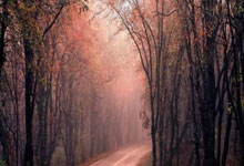 美记：詹姆斯的合同处于最后一年，明年可能是他在湖人的最后一个赛季