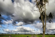 美记：詹姆斯的合同处于最后一年，明年可能是他在湖人的最后一个赛季